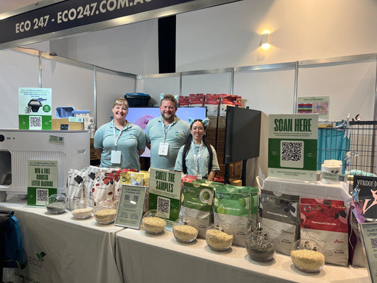 Our First Ever Show: Eco 247 at the Cat Lovers Festival 2024!