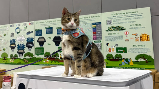 Eco 247 at the 2025 Oz Feline Fair