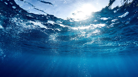 World Water Day 2025: Why every drop counts