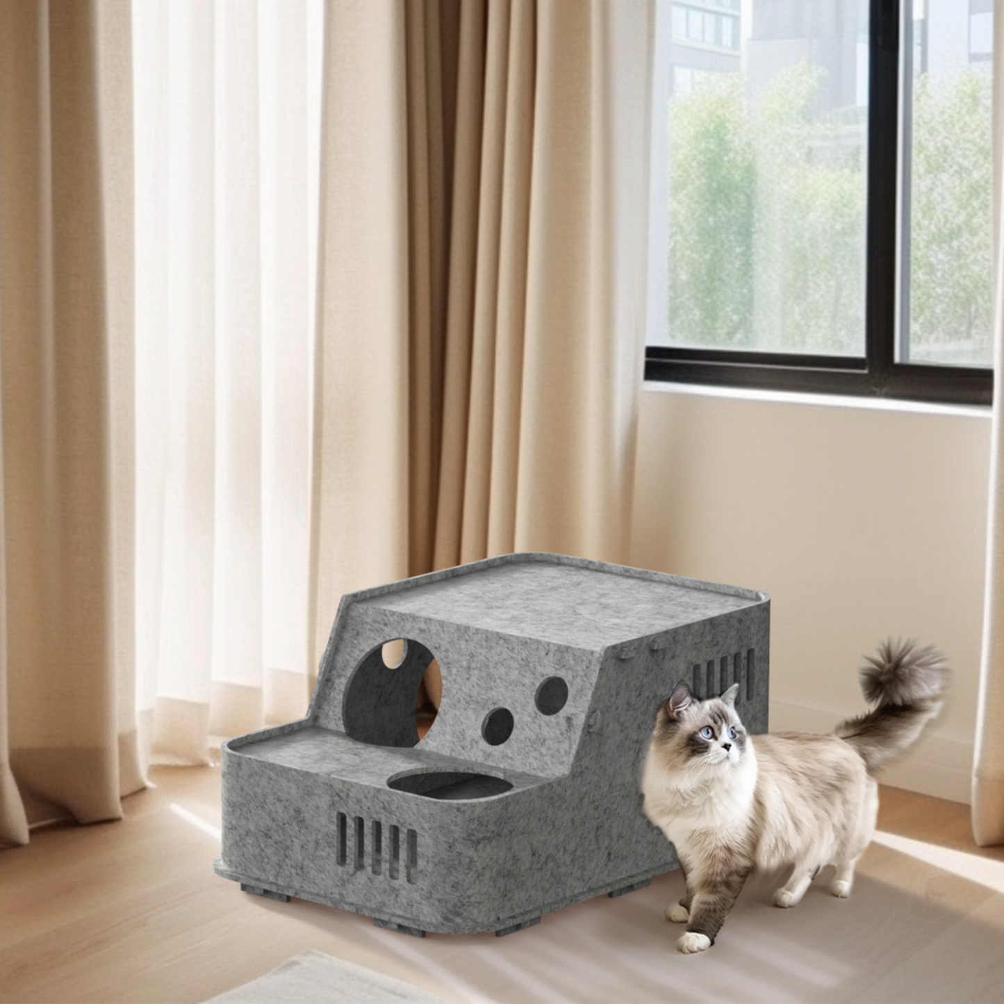 Cat House