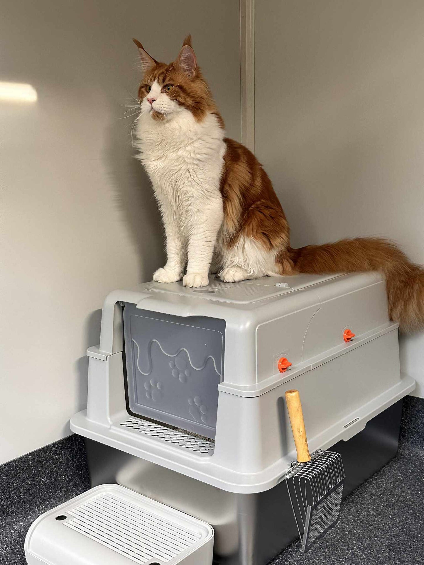 XL Enclosed Stainless Steel Cat Litter Box