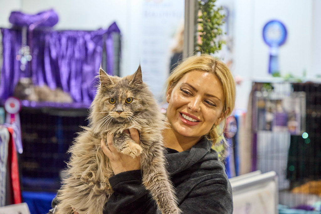Breeder holding a fluffy Maine Coon at the Cat Lovers Festival Sydney