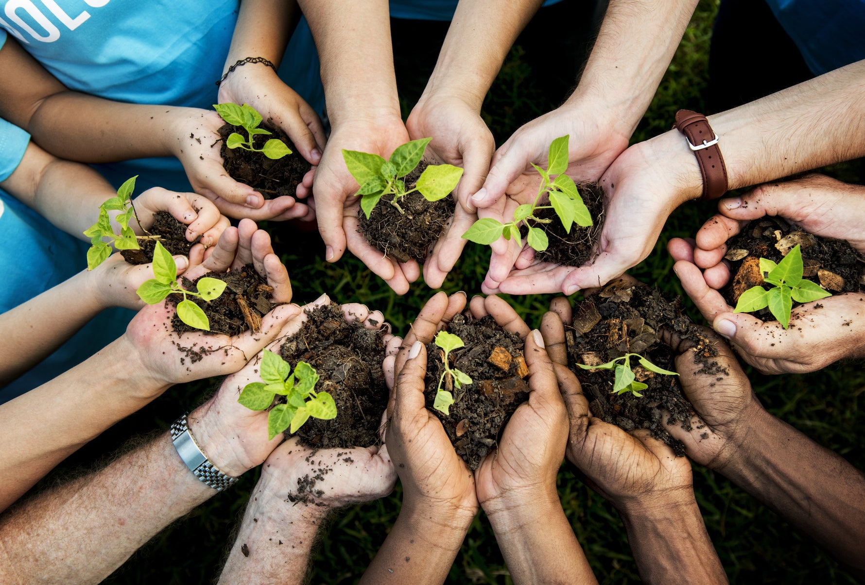 Eco 247 × TreeProject: How planting 4000 native plants are helping Australia grow greener