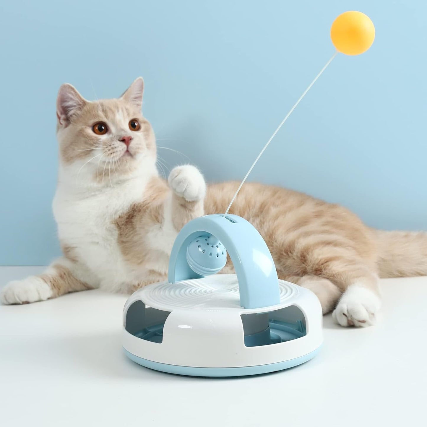 Multifunctional Cat Toy