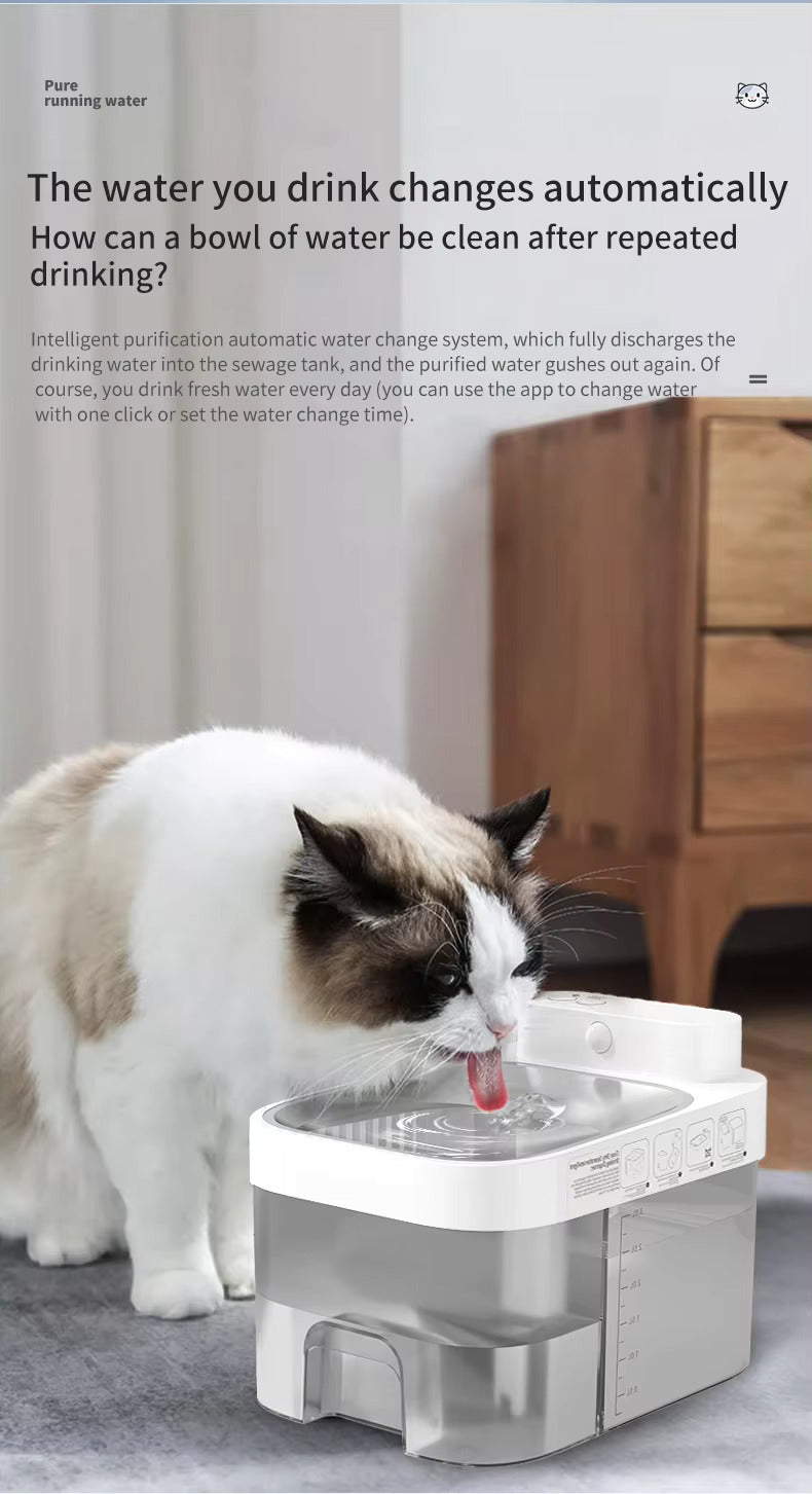 Smart Pet Water Dispenser