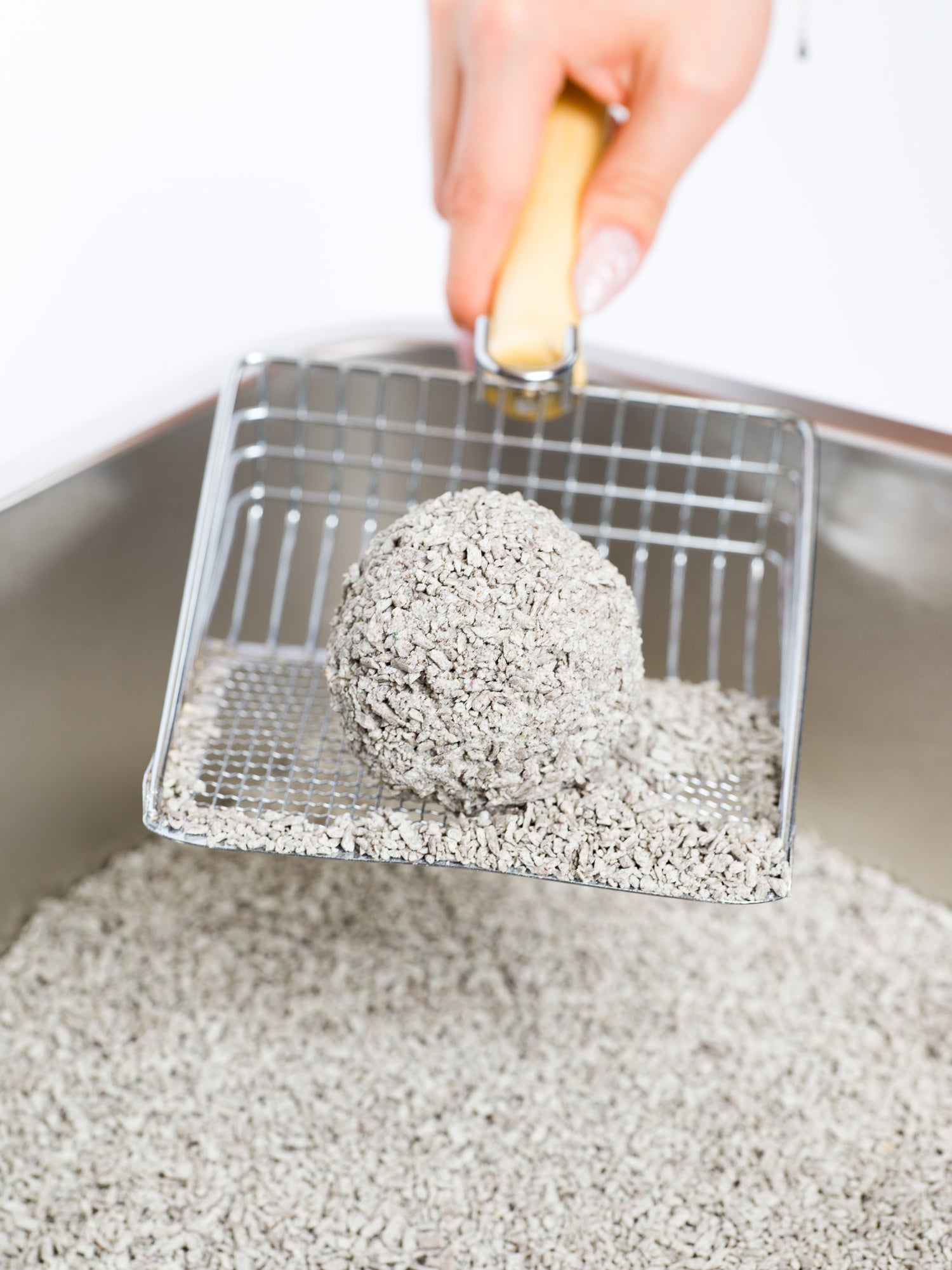 Crushed Pea Husk Cat Litter 12kg Box