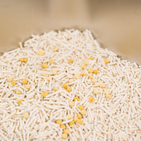 Health Watch 10 Pack